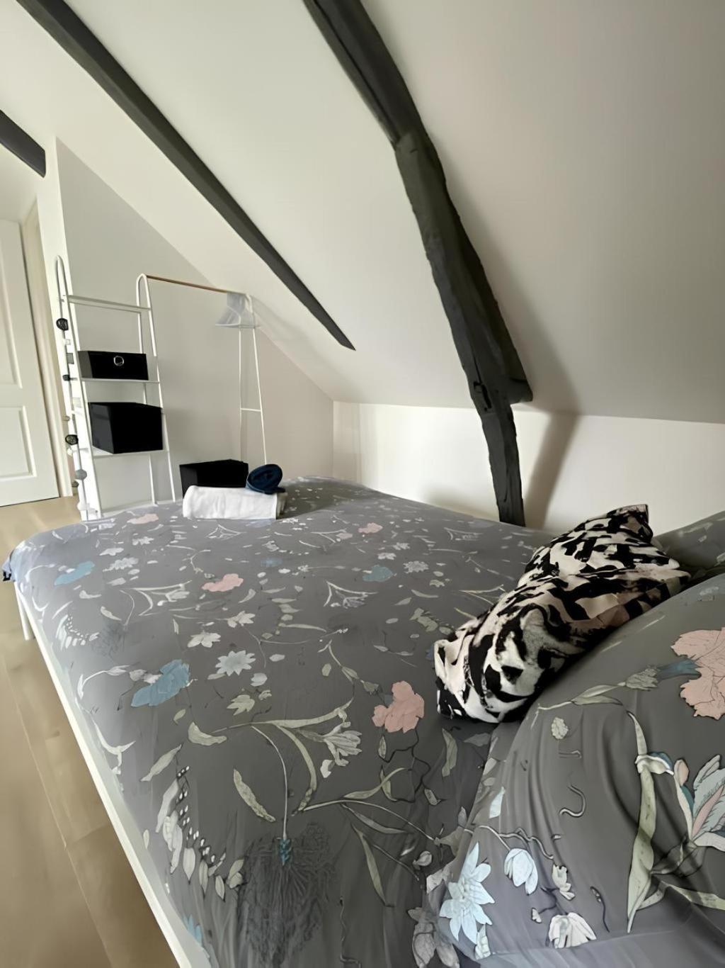 Maison Familiale Avec Exterieur Menage Et Linges Inclus Rouen Bagian luar foto